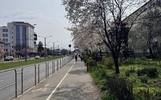 Prima inchiriere, 3 camere; 50% discount comision, Bulevardul Cetatii - Poză 29