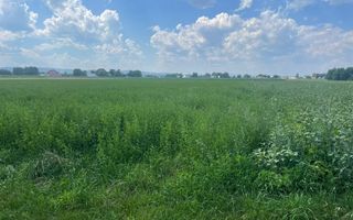 Teren intravilan | 7000 MP | Frătăuții Vechi, Suceava - Poză 3