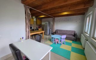 De Vânzare sau Închiriere – Imobil Versatil cu 2 Clădiri zona Cetate - Poză 5