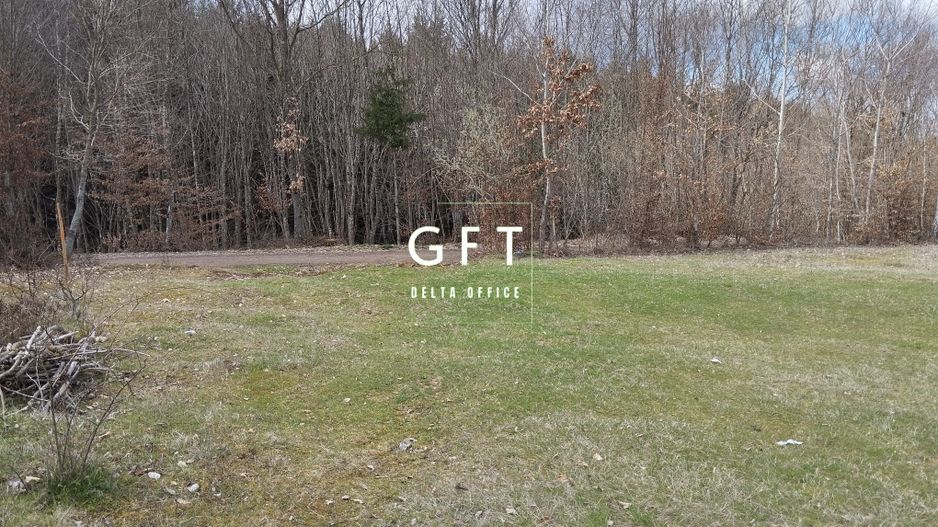 Teren 3700 mp - vedere panoramic - Zona Str. Ghinzii - Poză 2