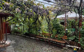 Casă de vânzare în Sânpetru Vechi - singur în curte, garaj, foișor - Poză 14