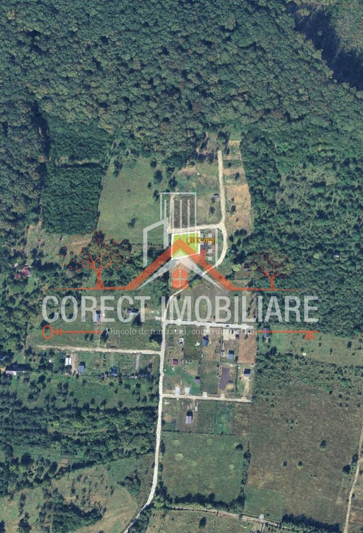 🌿 Teren de vânzare – Valea Budacului - Poză 3