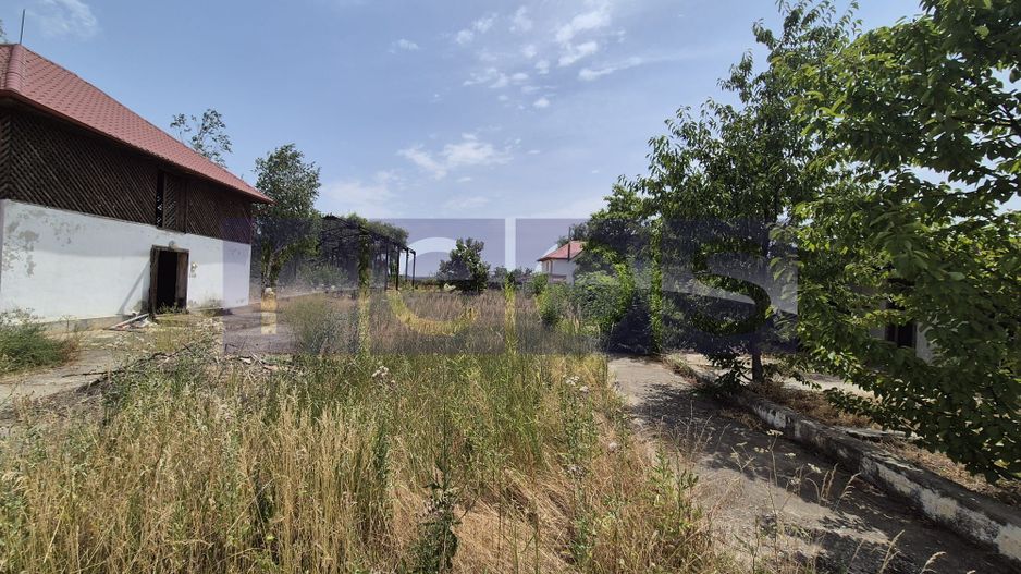 De vanzare teren industrial in Calarasi/Belciugatele - Poză 12