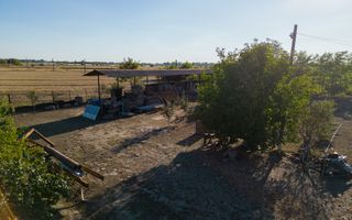 Hală industrială cu multiple destinații în Nădlac - Poză 48