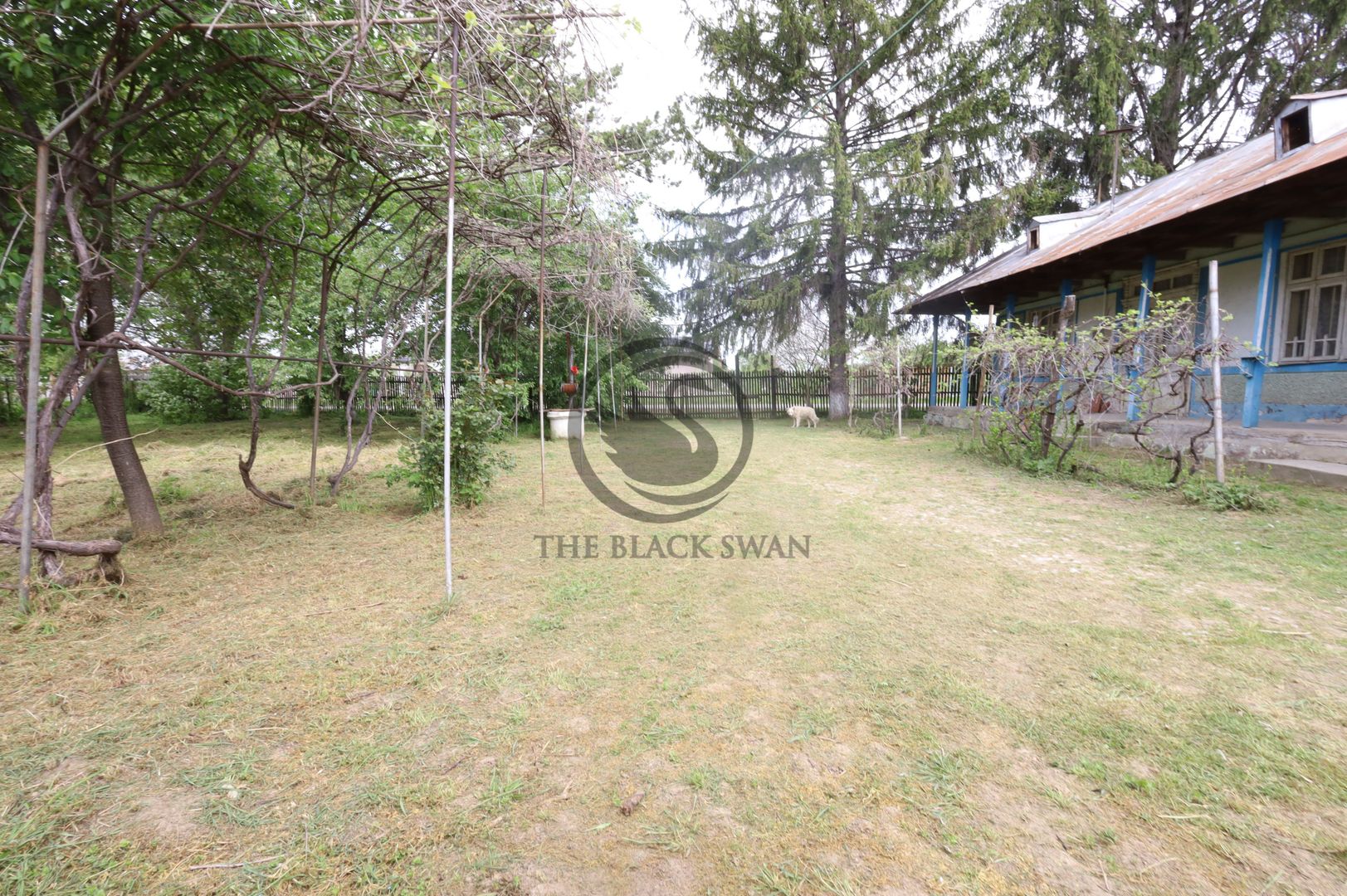Teren si casa de vanzare | Habud - Sirna, Prahova | Comision 0% - Poză 8