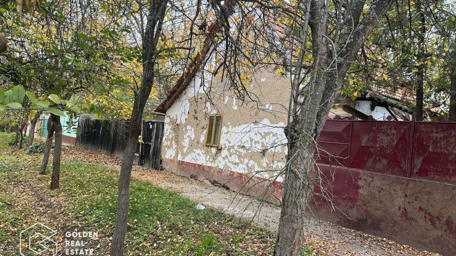Casa traditionala cu gradina de 2200 mp, Peregu Mic - Poză 4