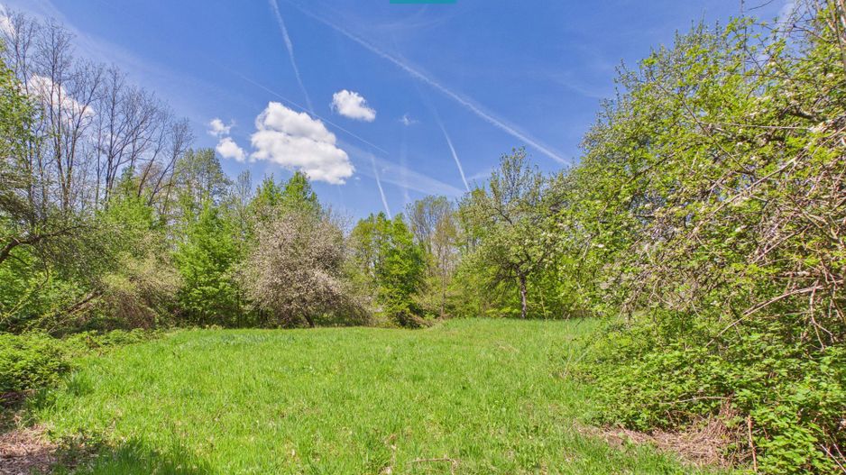 Proprietate rară cu 24.270 mp, în Măgulicea, Arad! - Poză 33