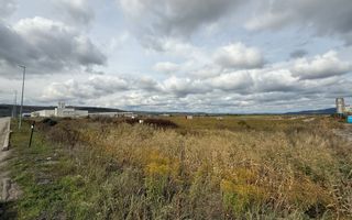 Teren Intravilan Industrial – 10.714 mp – Parc Tetarom, Răscruci - Poză 3