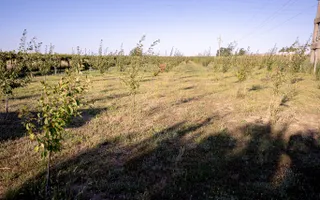 Casă de vânzare Furceni – 7 camere, teren 8.000 m - Poză 29