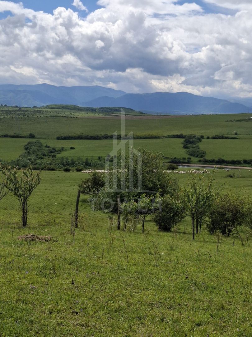 De vanzare, teren 11.500 mp – Dealul Dăii,  Vedere panoramică spre munți și lac - Poză 11