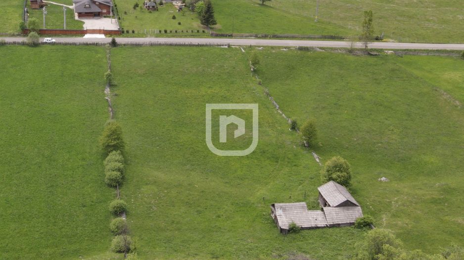 Teren Manastirea Humorului 4000mp - Poză 4