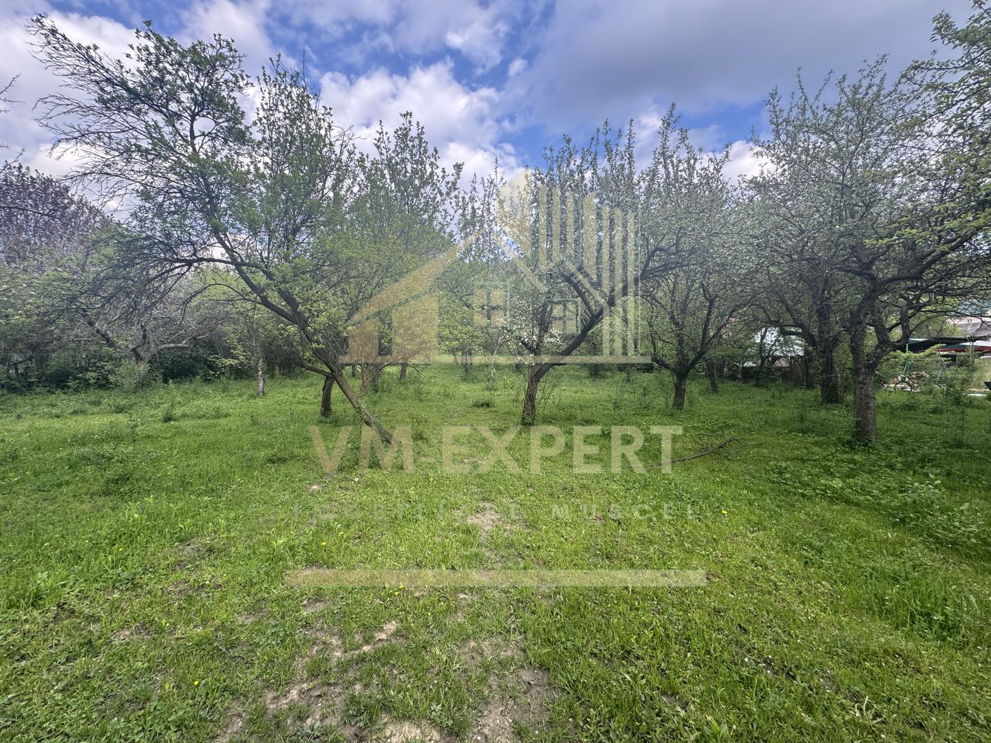 TEREN INTRAVILAN 7018 MP CAMPULUNG - Poză 15