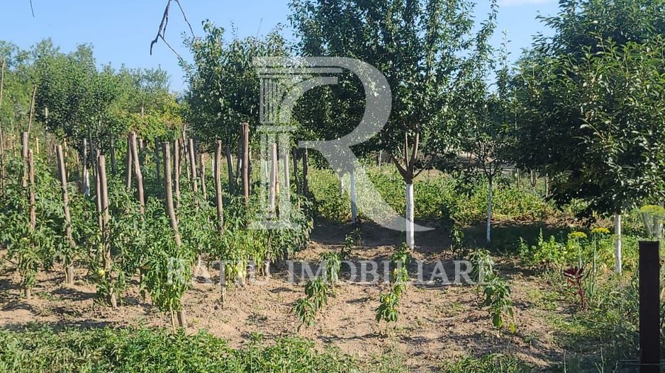Casa cu 3 camere + garaj si grădină | Picleu | Bihor - Poză 4