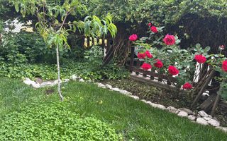 Apartament 3 camere | Gradina | Parcare | Renovat | Selimbar - Poză 11