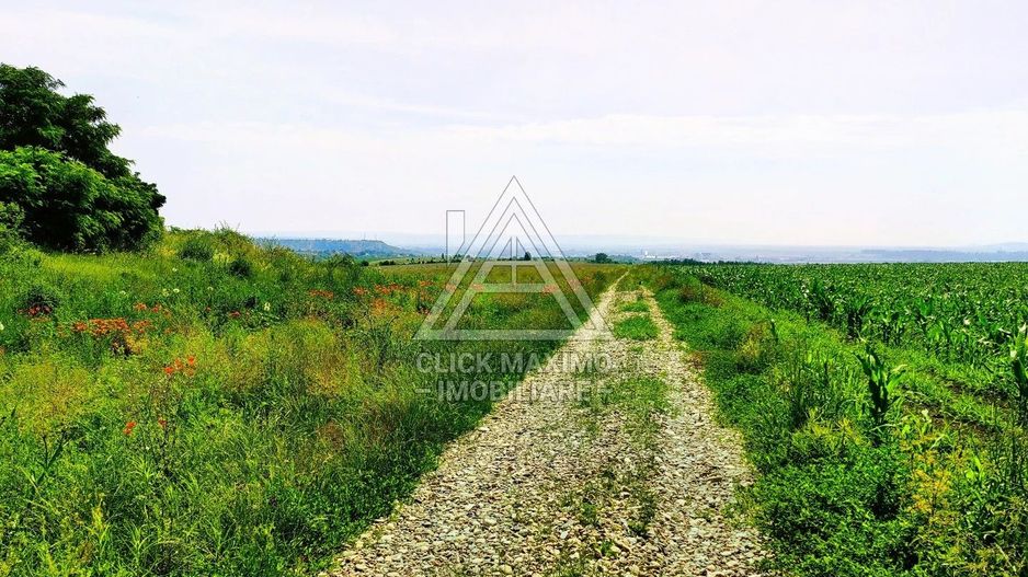 28.554 mp TEREN EXTRAVILAN, TURDA – SĂNDULEȘTI, jud. CLUJ - Poză 9