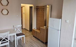 Apartament 1 camera | 43 mp | complet mobilat și utilat | Gruia - Poză 9