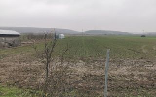 De vanzare casa in Argetoaia cu teren 7.000 mp - Poză 5