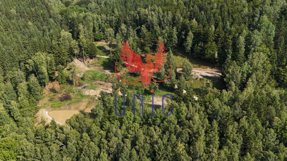 18000 mp de natura pura ,Lupeni, langa Straja - Poză 8