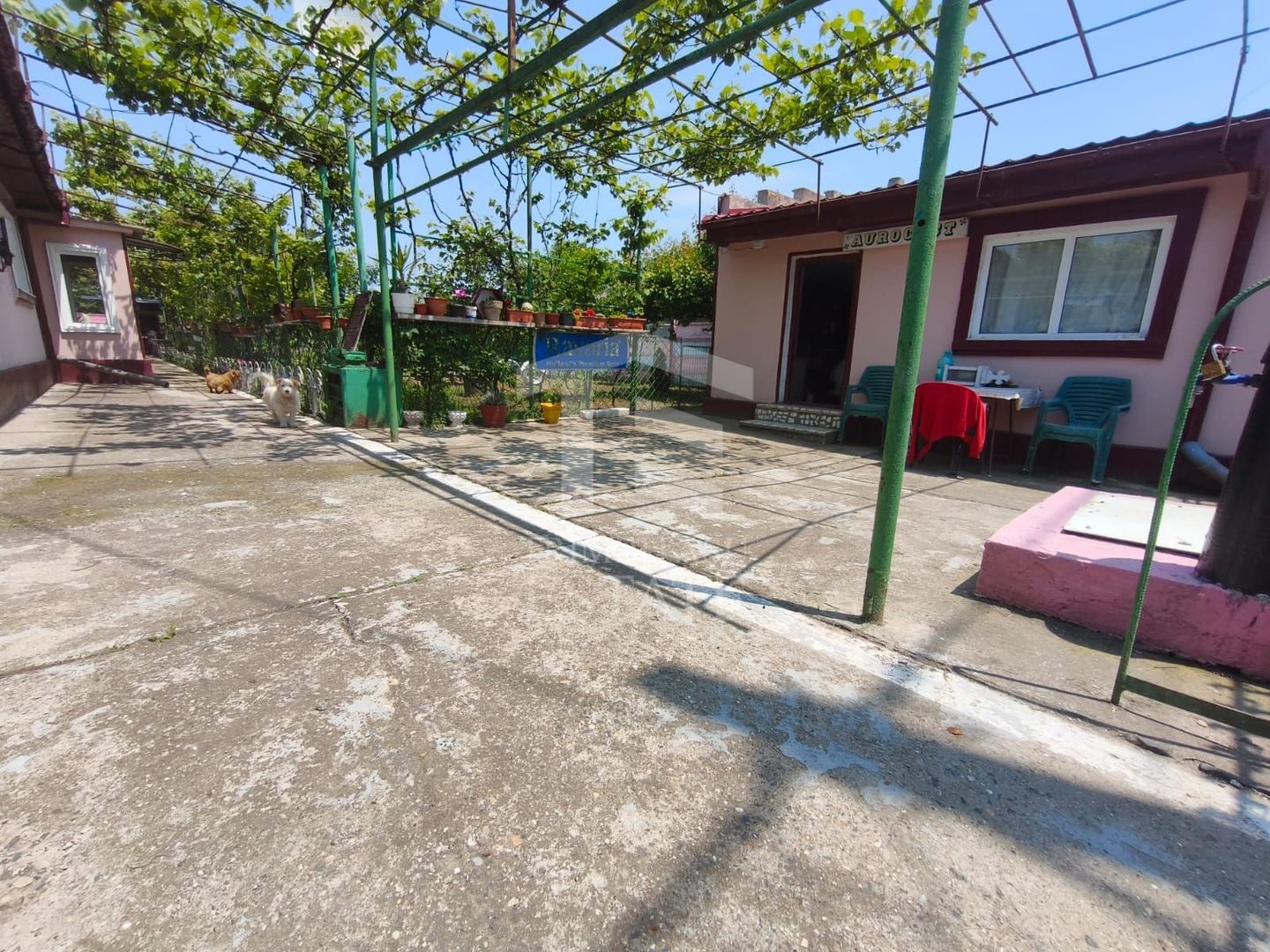 CASA  POIANA | PANOURI SOLARE | TEREN 800 MP - Poză 27