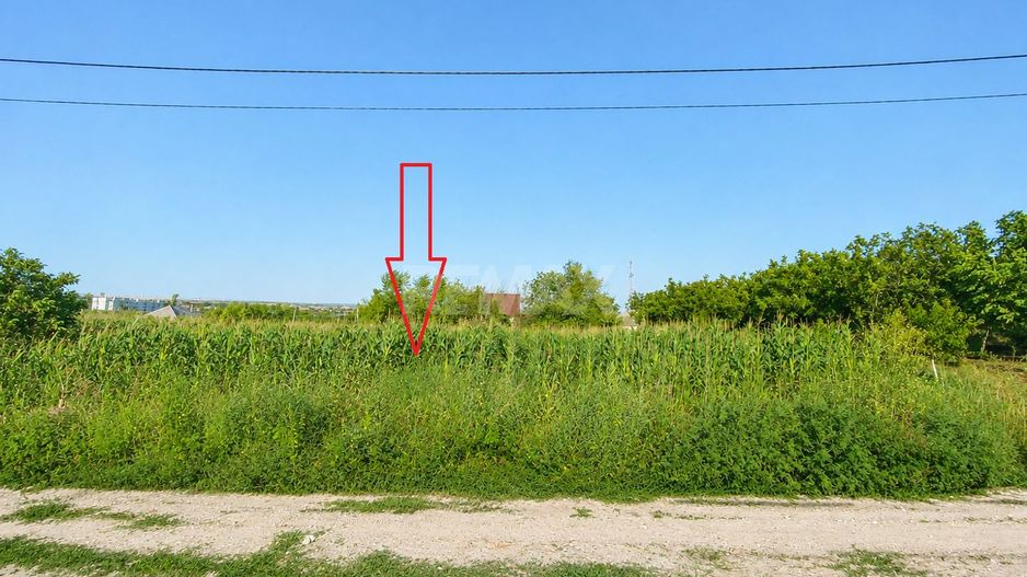 TEREN PENTRU CONSTRUCȚIE – 12 ARI | SPEIA- ANENII NOI - Poză 5