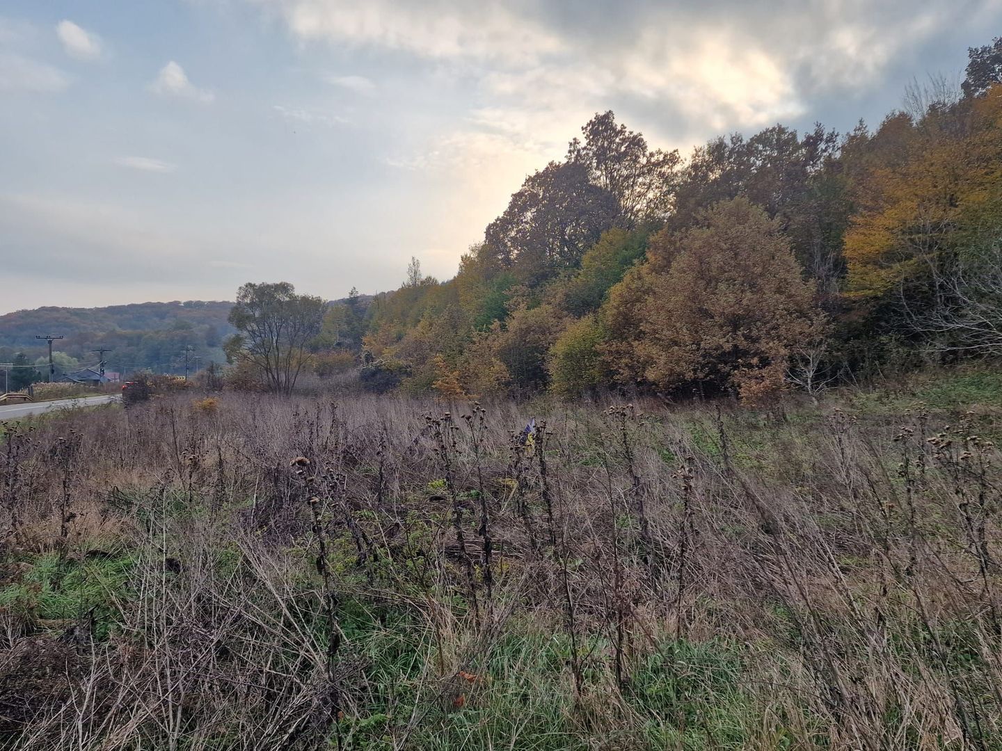 Teren 1,717mp Margineni / Strada Sat podis - Poză 6