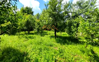 CASĂ INDIVIDUALĂ CU LIVADĂ | 2.195 MP TEREN | POIANA CÂMPINA - Poză 21
