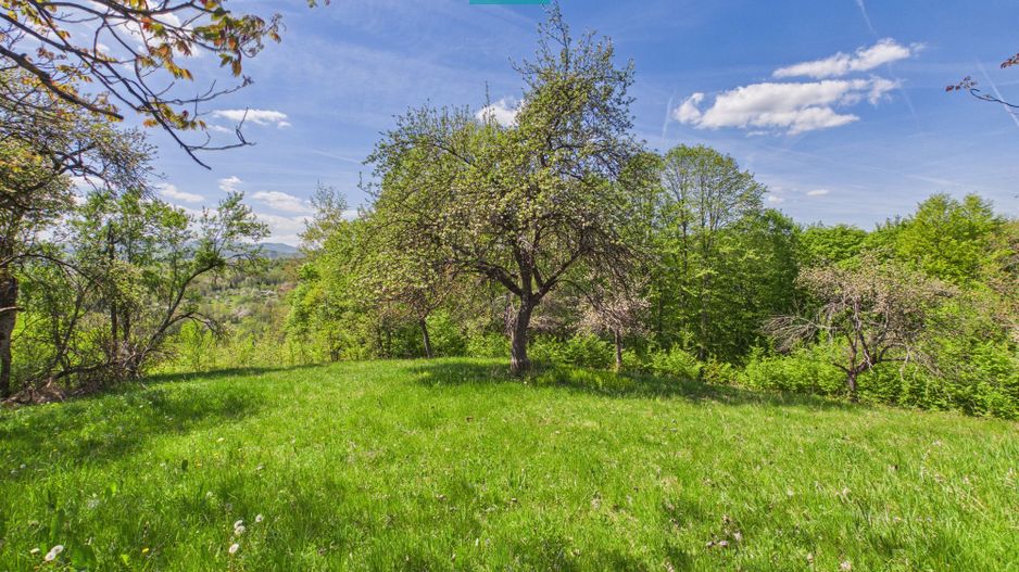 Proprietate rară cu 24.270 mp, în Măgulicea, Arad! - Poză 26