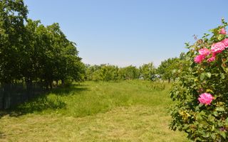 Casă/Vilă cu 5 camere Măzănăești - Poză 44