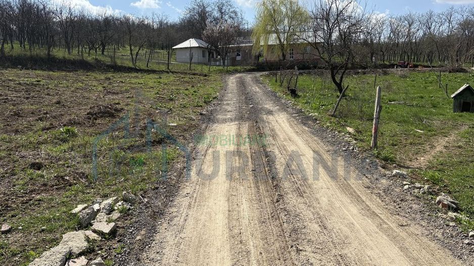 Terenuri intravilan în satul Vladiceni, comuna Tomești - Poză 1