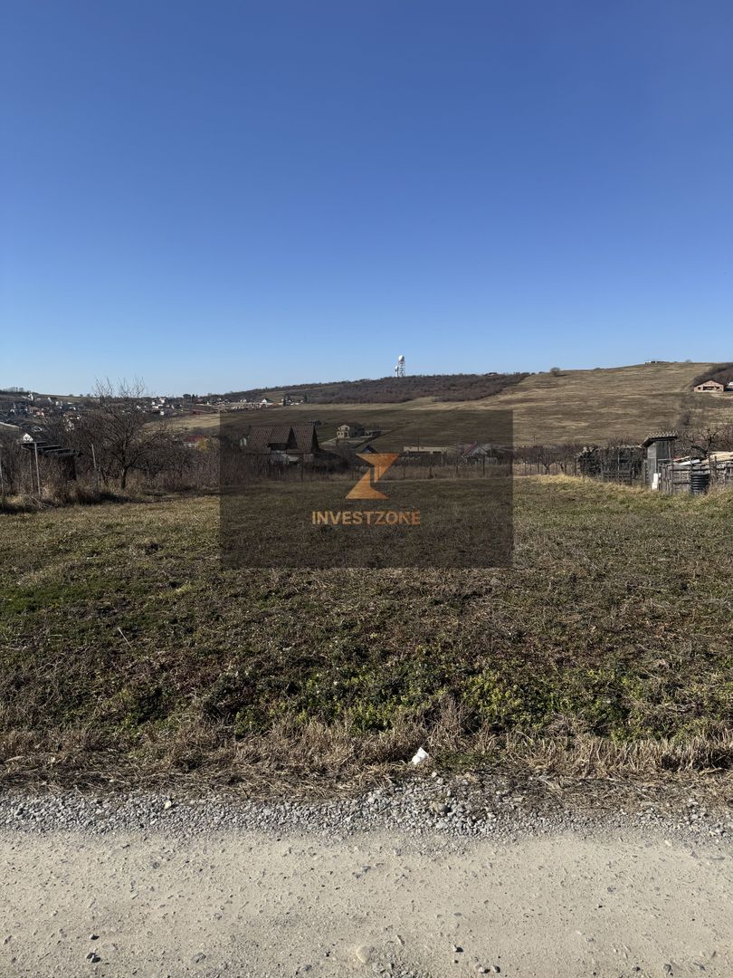 Teren intravilan Săldăbagiu De Munte - Poză 7