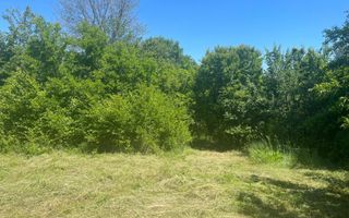 De Vanzare Gospodarie Cerbu - Poză 4