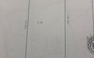 OTOPENI - Str. Nicolae Grigorescu, 8.000 mp. teren cu desch. de 53 m. - Poză 3