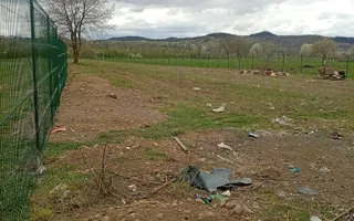Casă cu 5 camere + anexă, curte + grădină proprie, în Bocicoiu Mare - Poză 15