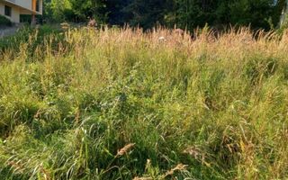 Teren intravilan 1615 mp-ideal cabane turism-Colibita - Poză 1