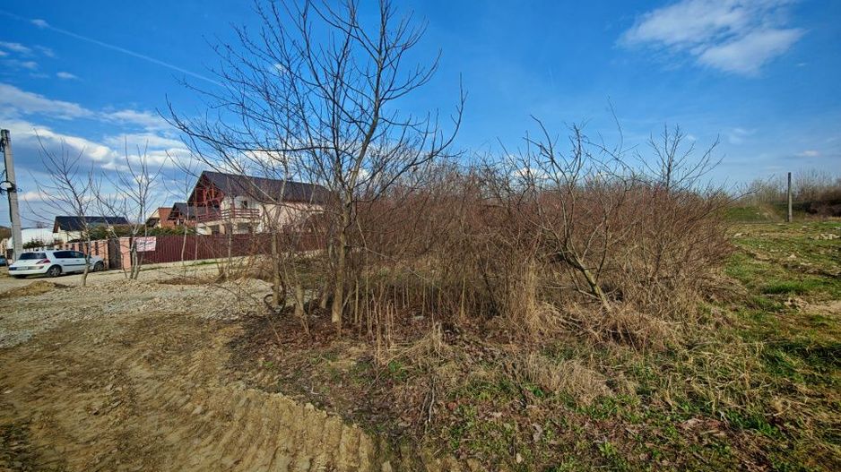 Teren intravilan 2273 mp in Pitesti, str. Mateias, iesire spre Campulung Muscel - Poză 4