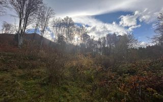 Oportunitate de investiție – Teren pentru hotel / pensiune pe Valea Avrigului - Poză 8