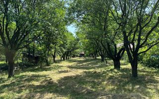 Teren 2000 mp, cu utilitati, pozitionare deosebita, Tocile - Poză 3