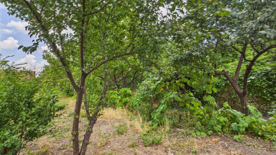 Teren 1.484 mp în zona Iosefin - Poză 2