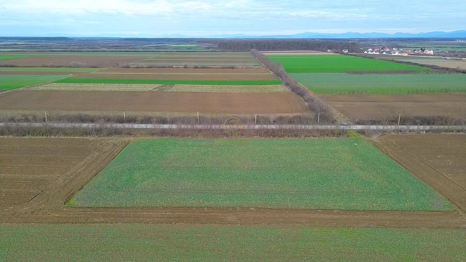 Teren 6600MP Cu Front Stradal 101 M La Intrare in Lazuri Str Botizului - Poză 6