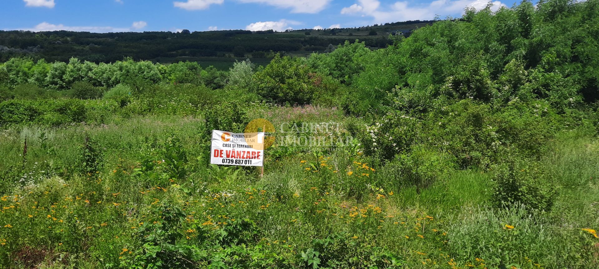 🌳 🌞🌿 TEREN INTRAVILAN OSOI 2800 mp - 49.999 Euro ! 🌳🌞🌿 - Poză 4