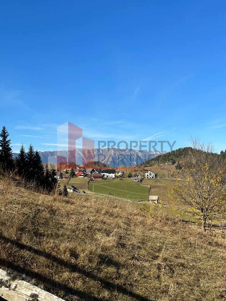 Teren Fundatica intravilan 4500 mp - Poză 18