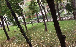 Apartament 2 camere – modern și luminos | Obregia – 10 minute de metro - Poză 5