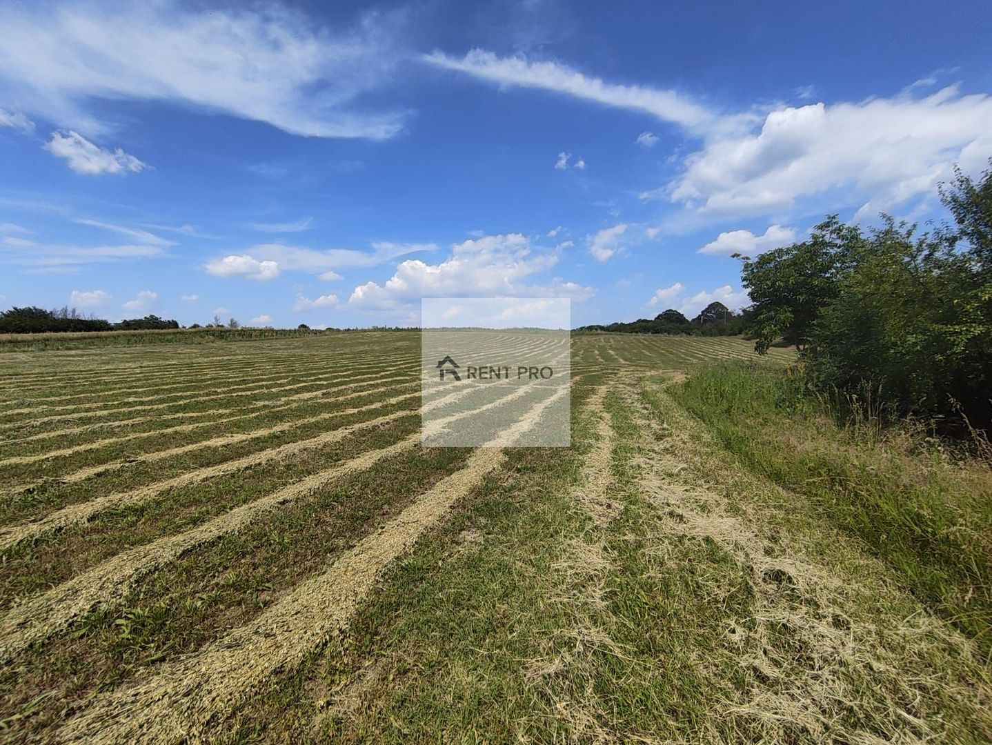 Teren de 11.000 mp cu casă și teren agricol | La 40 km de București | - Poză 10