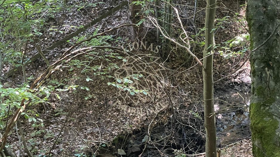 COMISION 0 20.000 MP TEREN EXTRAVILAN CU PADURE ZONA TURISTICA SACUIEU VLADEASA - Poză 3