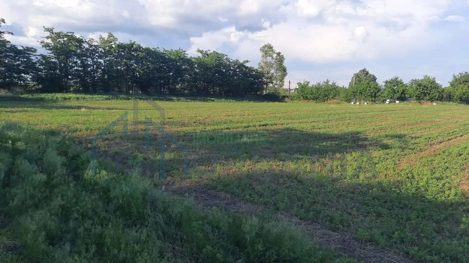 # intravilan în Țigănași la strada principală - Poză 5