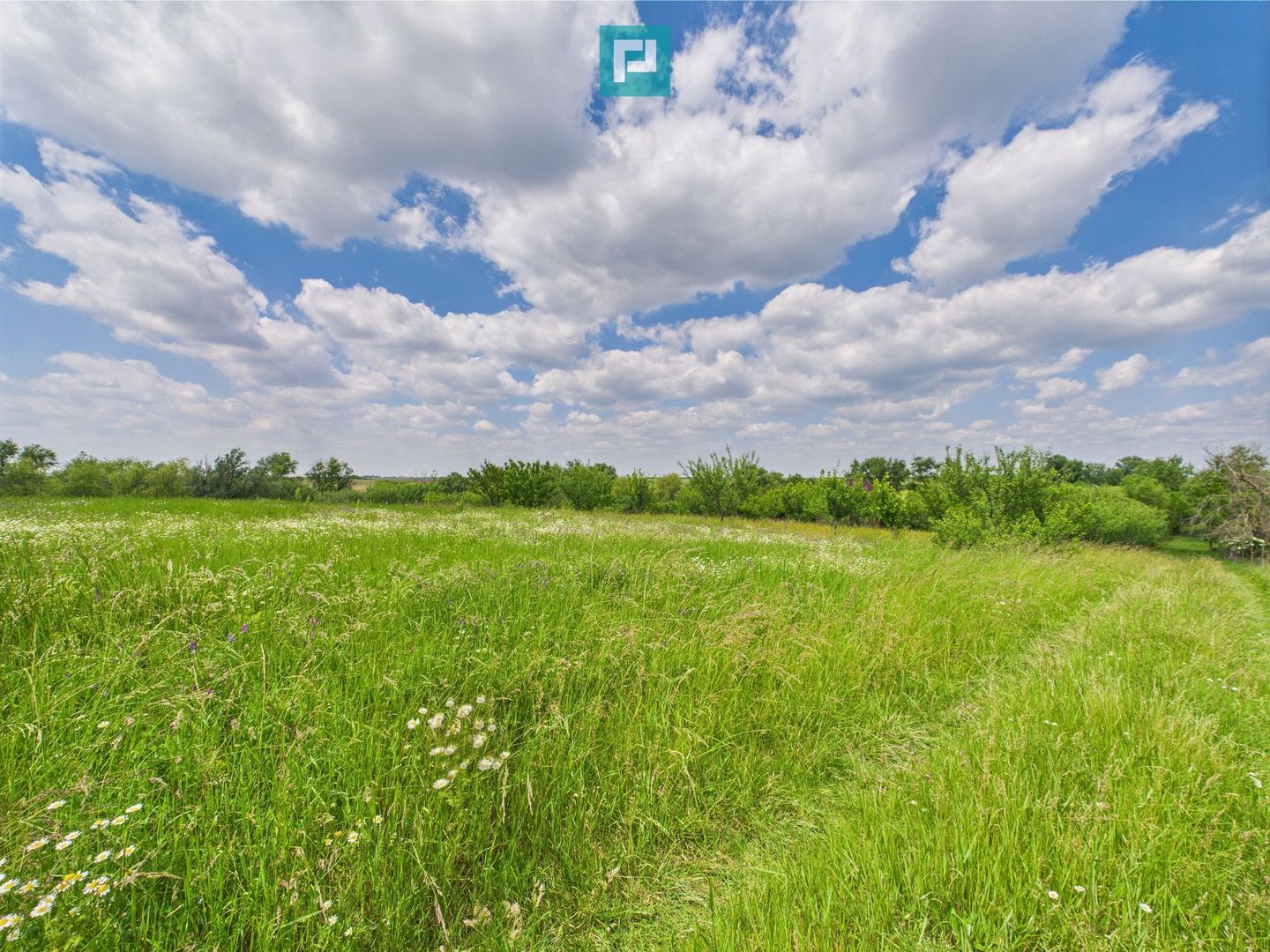 Teren cu baltă- oportunități multiple la Fibiș - Poză 46