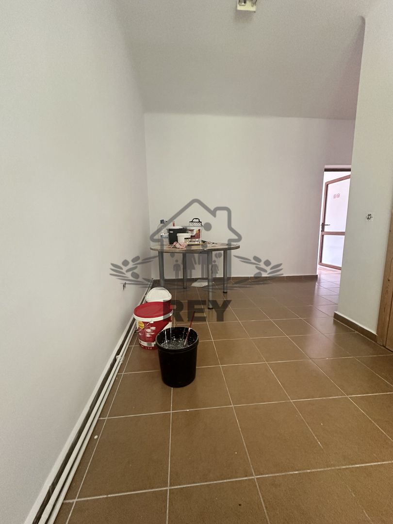 Imobil 3 niveluri, renovat, cu spațiu comercial si 2 ap.- Bd. Victoriei - Poză 9