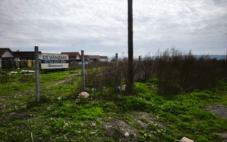 Teren drept  19059 mp - toate utilitățile - asfalt - Sancrai - Poză 3