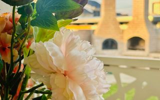 INCHIRIAT - 3 camere | de inchiriat | casuta superba - Dumbravita - Poză 19