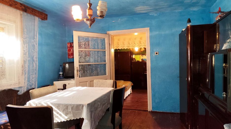 Casa la tara, Calea Mare, Bihor, teren mare, 2 intrari auto – vanzare - Poză 10